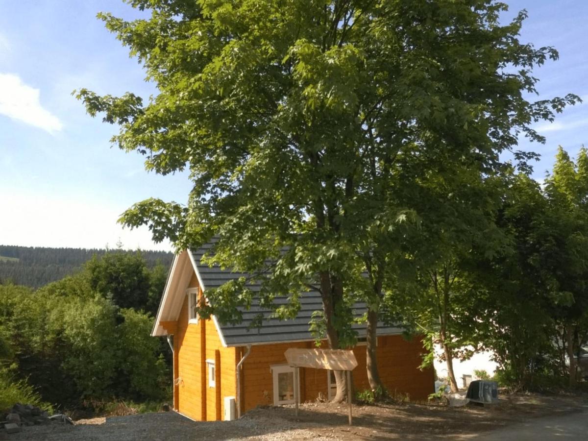Wooden House With Sauna In K Stelberg Medebach Exterior foto